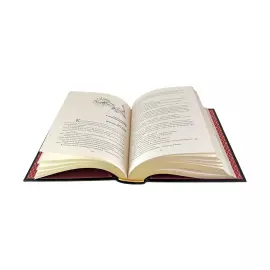 The leather-bound book "Alice's Adventures. The treasure of Napoleon. (The third book)." Kir Bulychev